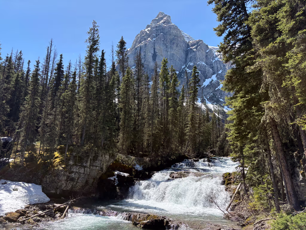 Calgary Private Tour - 