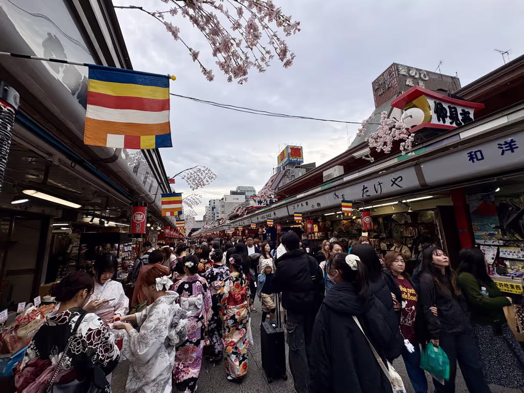Tokyo Private Tour - Nakamise Einkaufsstraße, Asakusa
