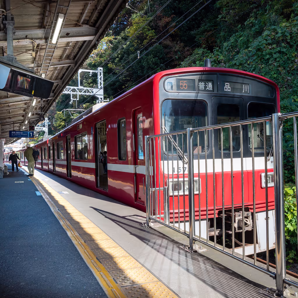 Kanagawa Private Tour - 