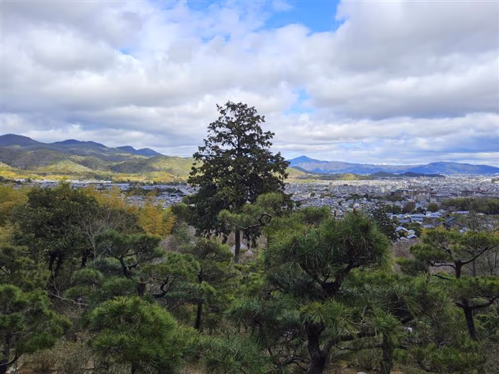 Kyoto Private Tour - Viewing platform at Jojakkoji Temple