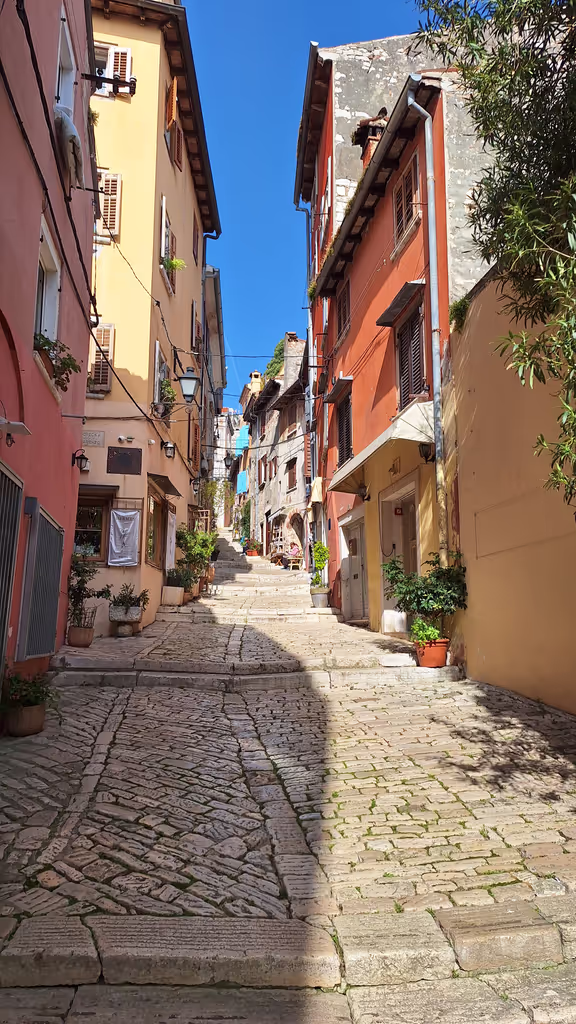 Istria Private Tour - 