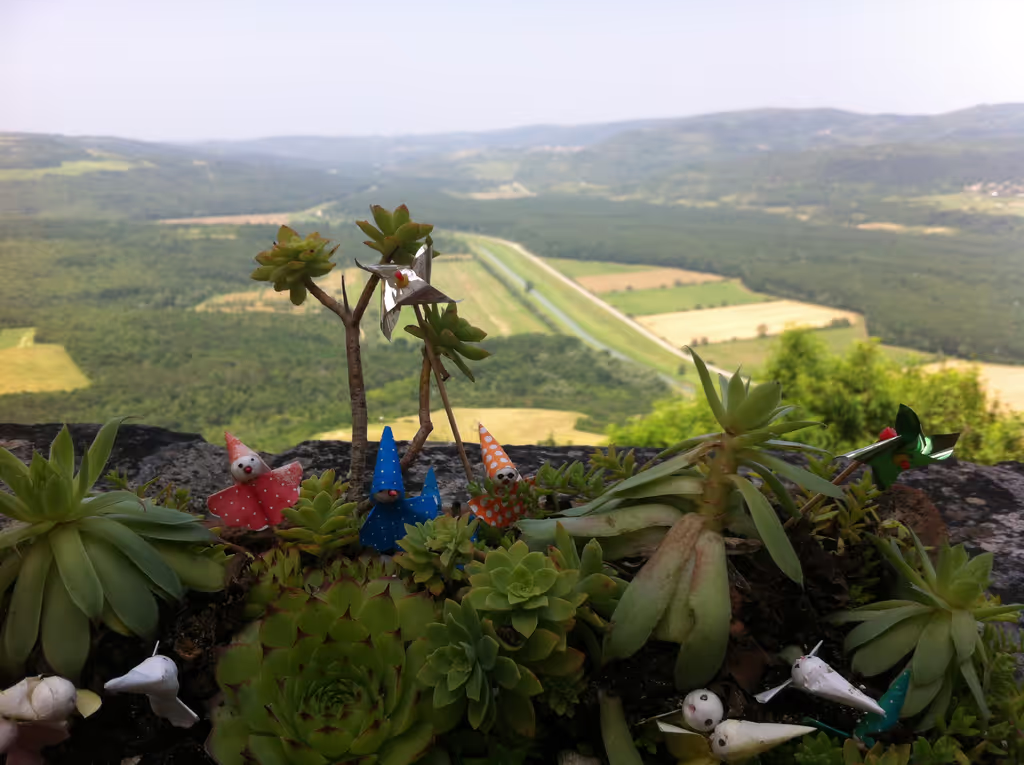 Istria Private Tour - 