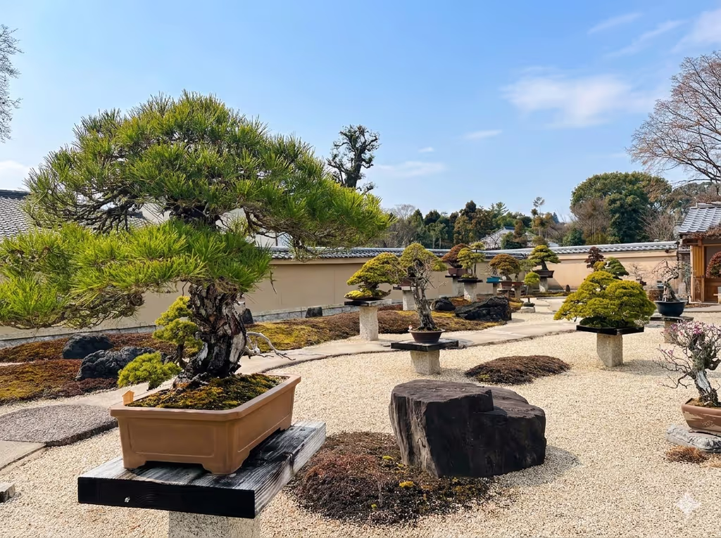 Kyoto Private Tour - 