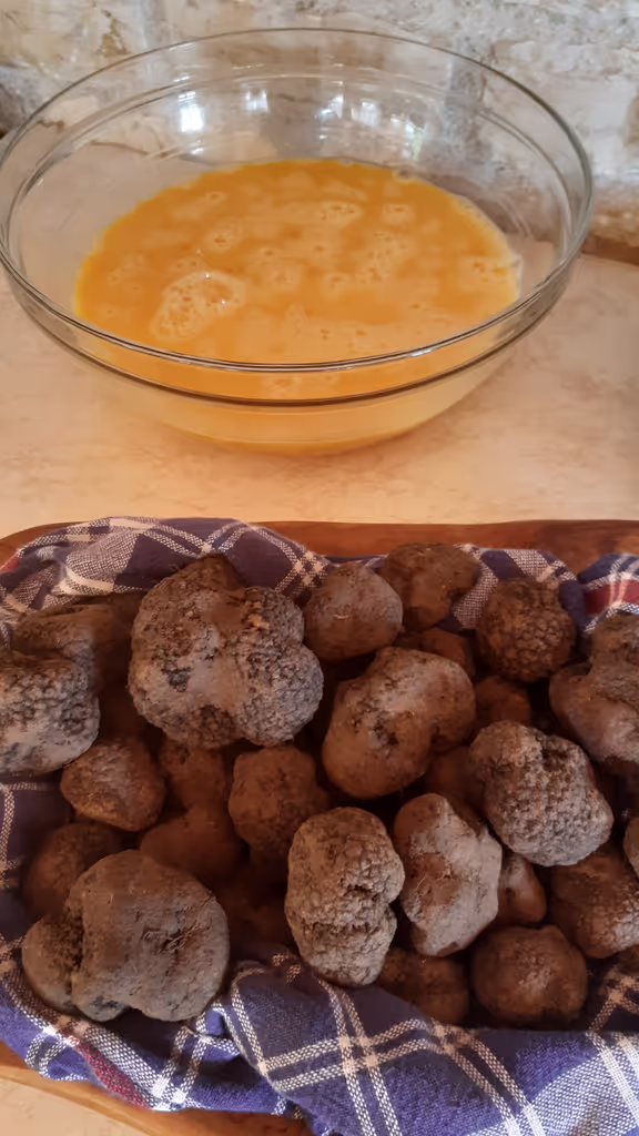 Istria Private Tour - 