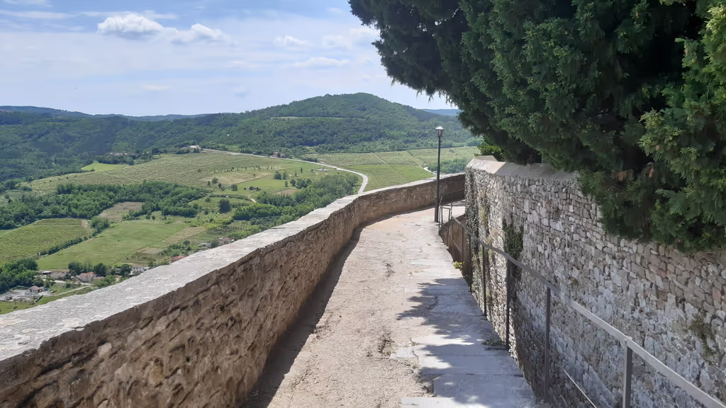 Istria Private Tour - 