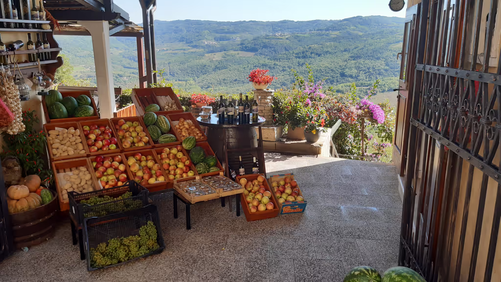 Istria Private Tour - 