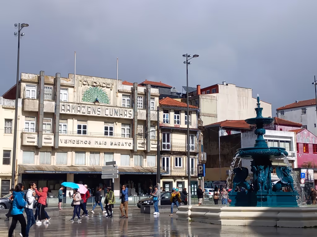 Porto Private Tour - "Square of Lions"