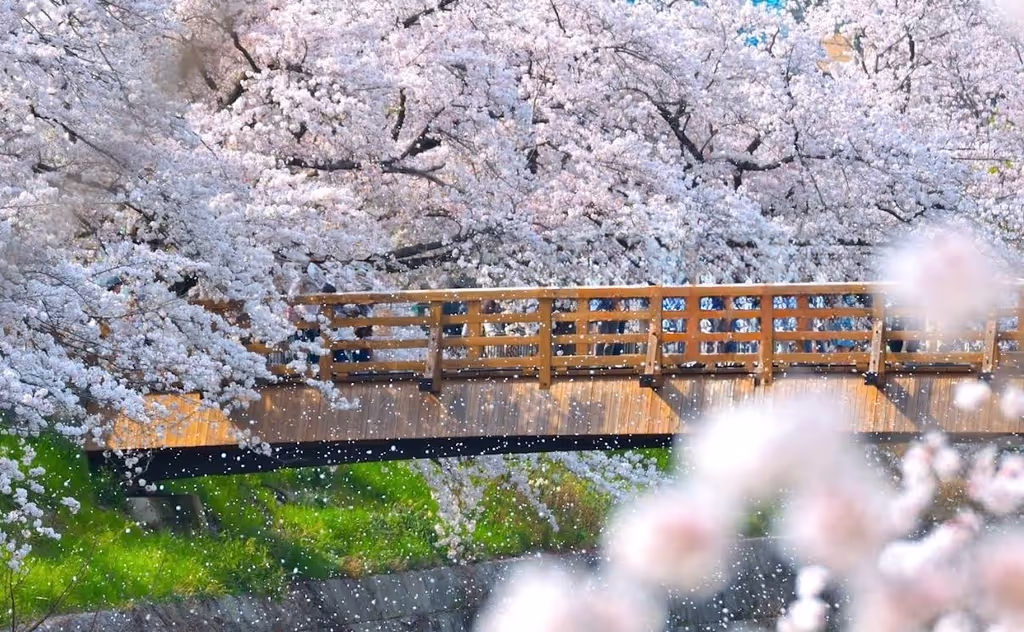 Nagoya Private Tour - 