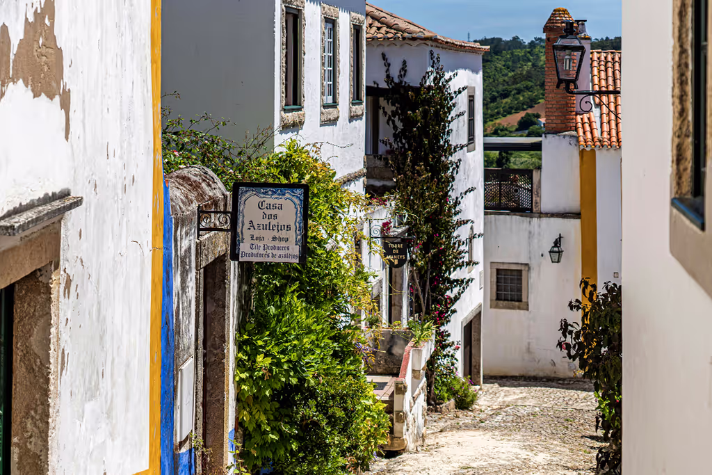 Porto Private Tour - Obidos