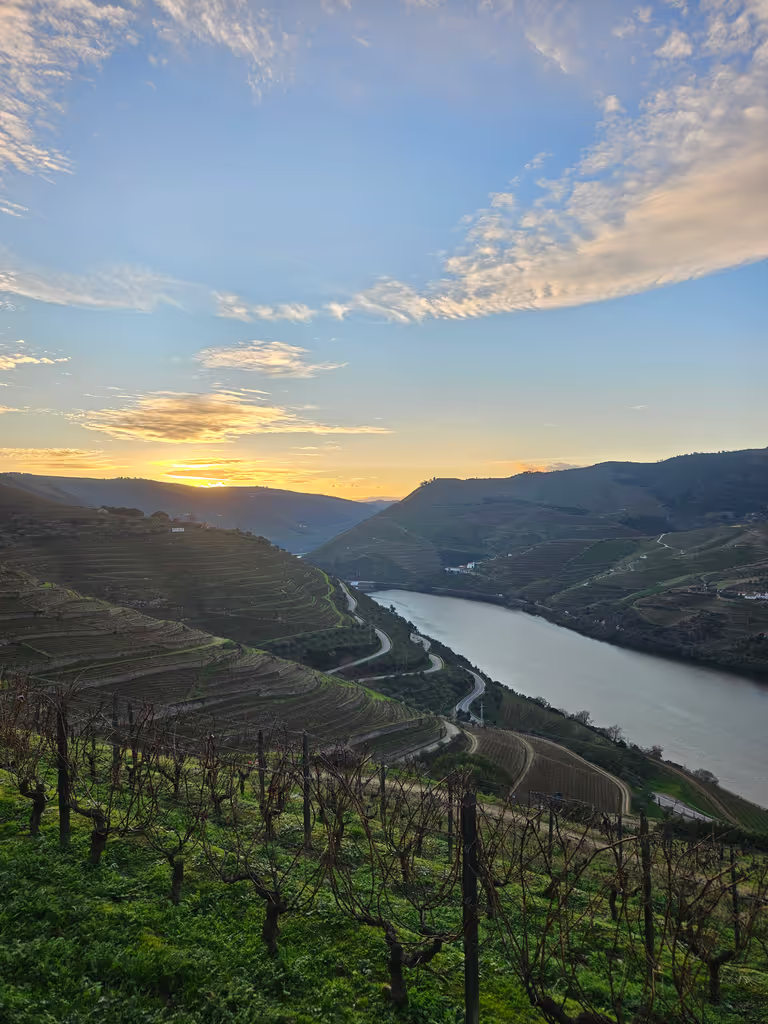 Porto Private Tour - 