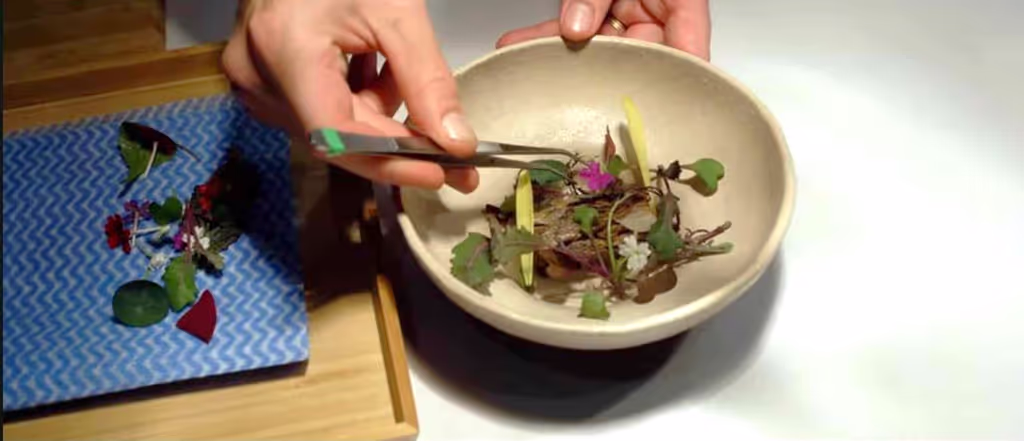 Bucharest Private Tour - 