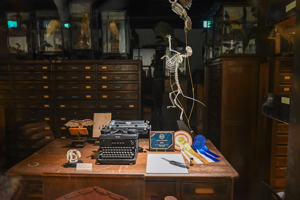 Kanagawa Private Tour - Intermediatheque