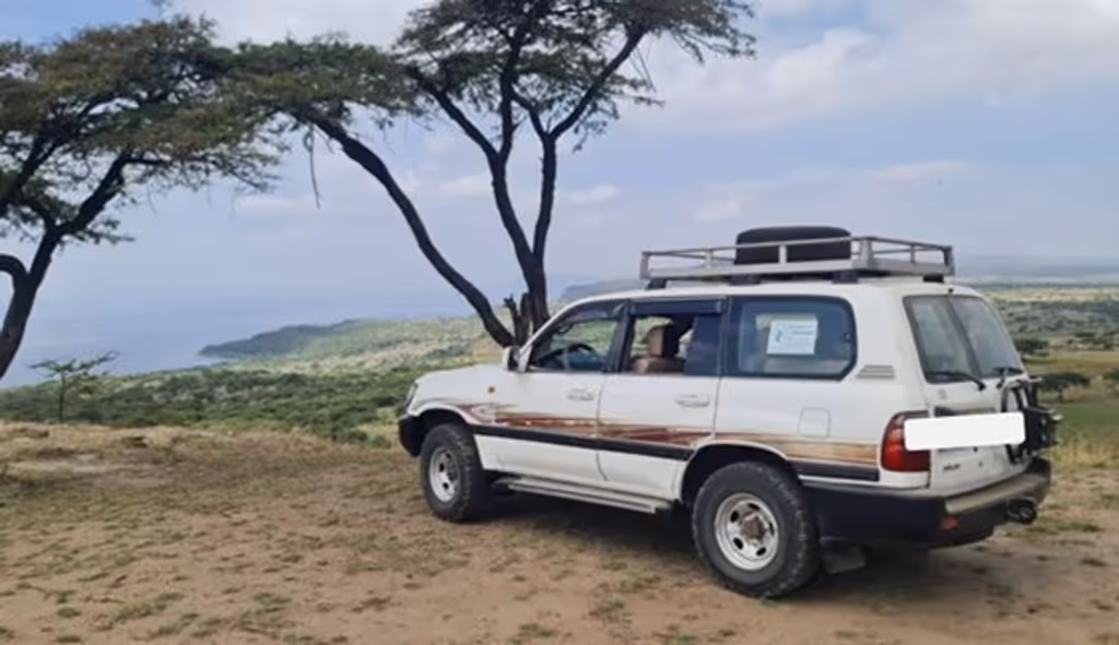 Addis Ababa Private Tour - 