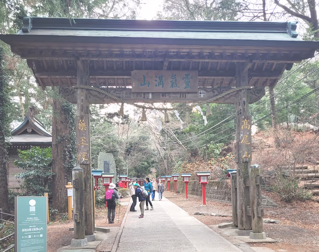 Tokyo Private Tour - Entrée dans la forêt sacrée