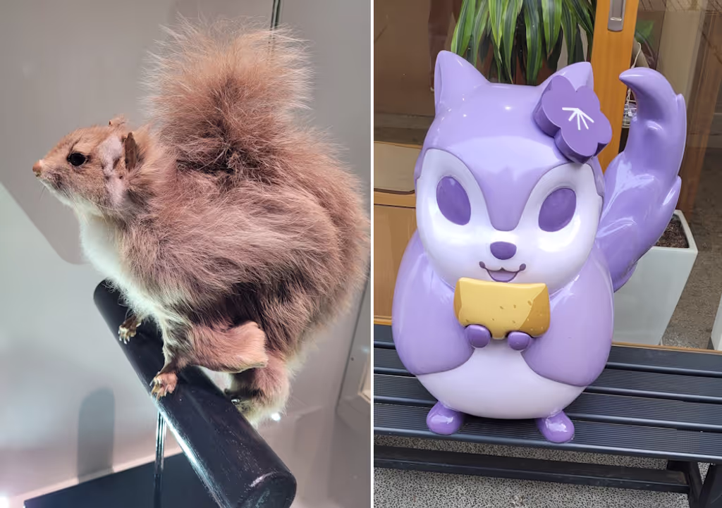 Tokyo Private Tour - Mt. Takao, forêt des écureuils volants