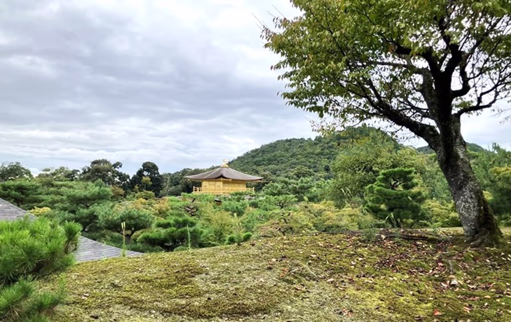 Kyoto Private Tour - Distant View