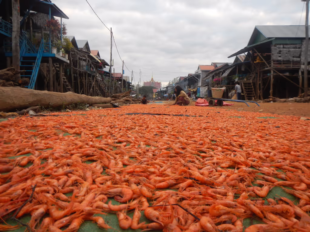 Siem Reap Private Tour - Siem reap cycling tour