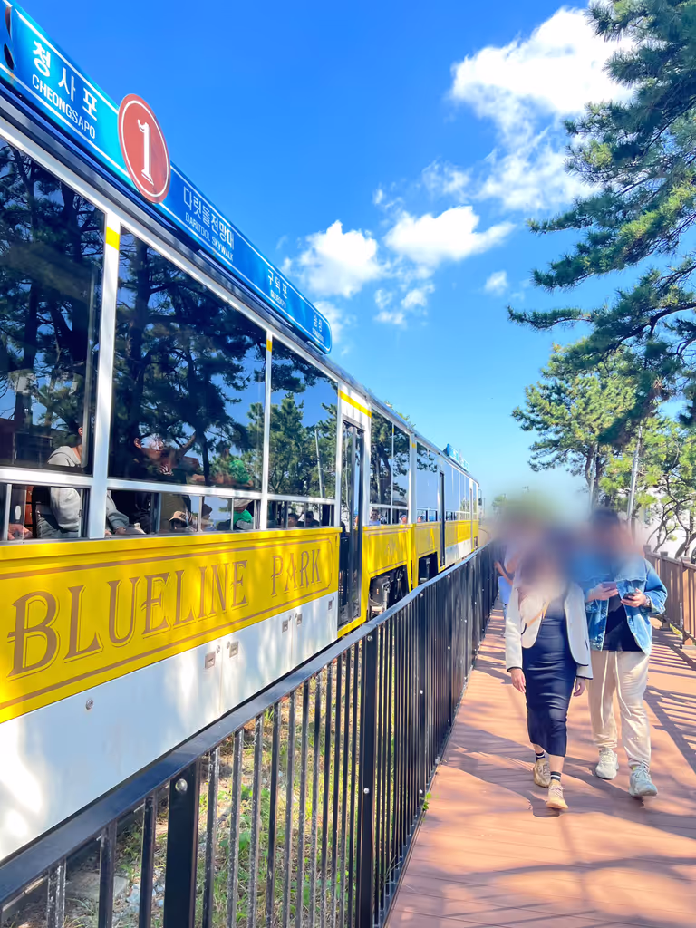 Busan Private Tour - 