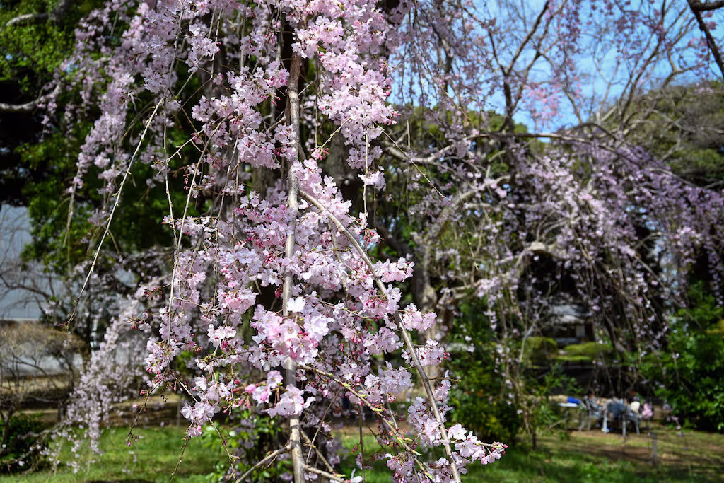 Kanagawa Private Tour - National Museum