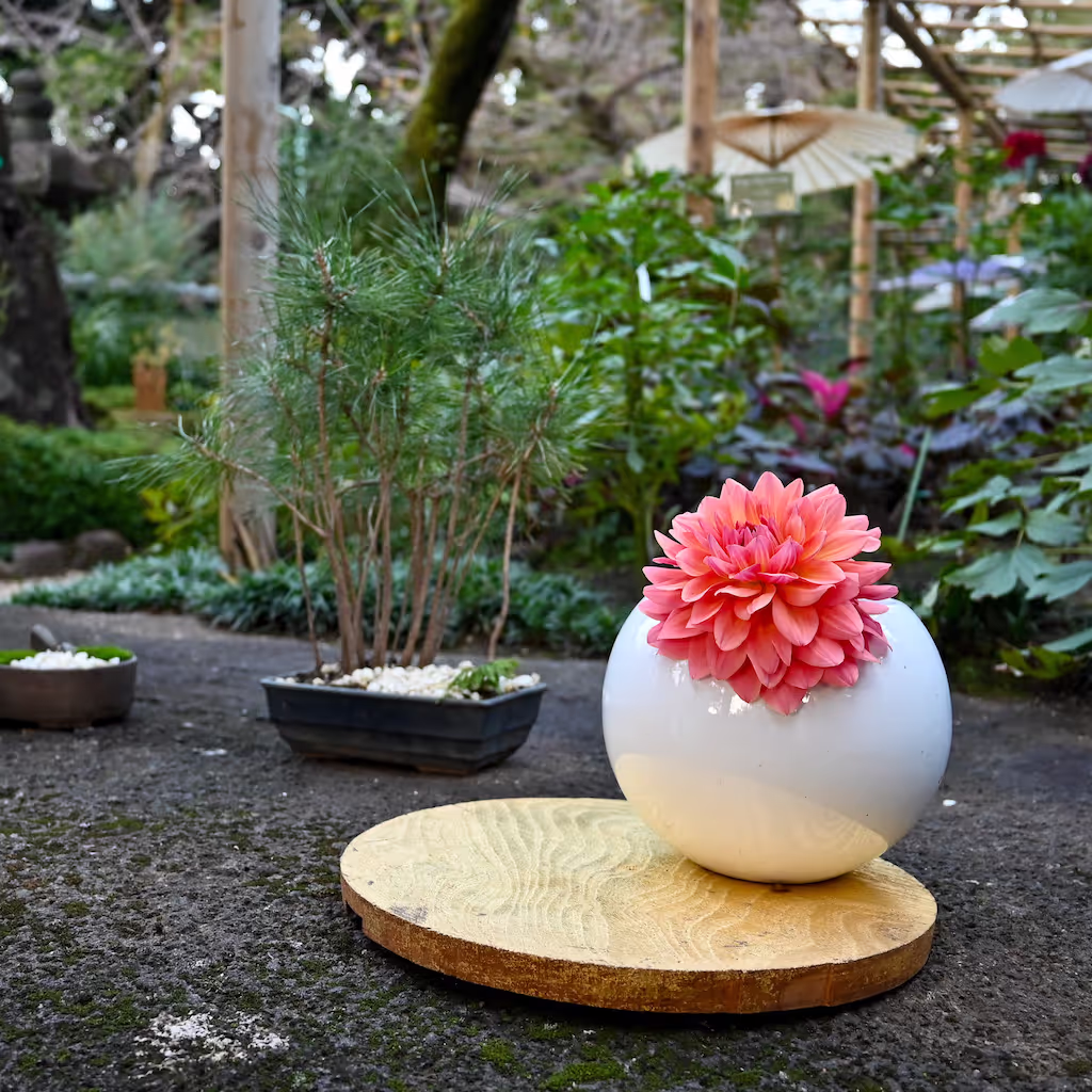 Kanagawa Private Tour - Peony Garden