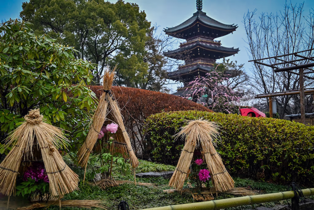 Kanagawa Private Tour - Ueno Peony Garden