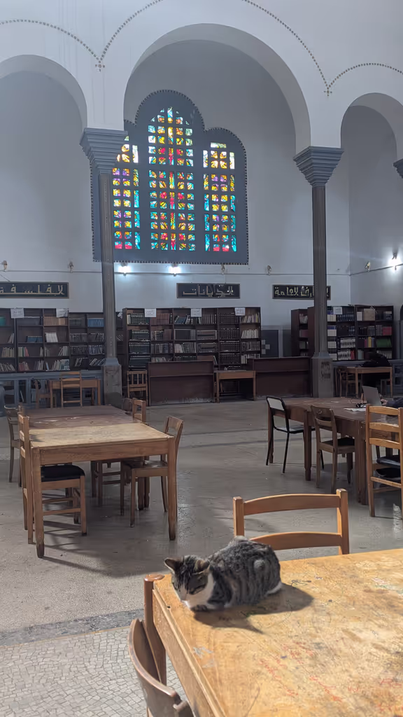 Oran Private Tour - Inside of the cathedral