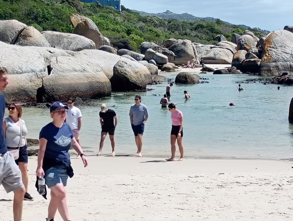 Cape Town Private Tour - 