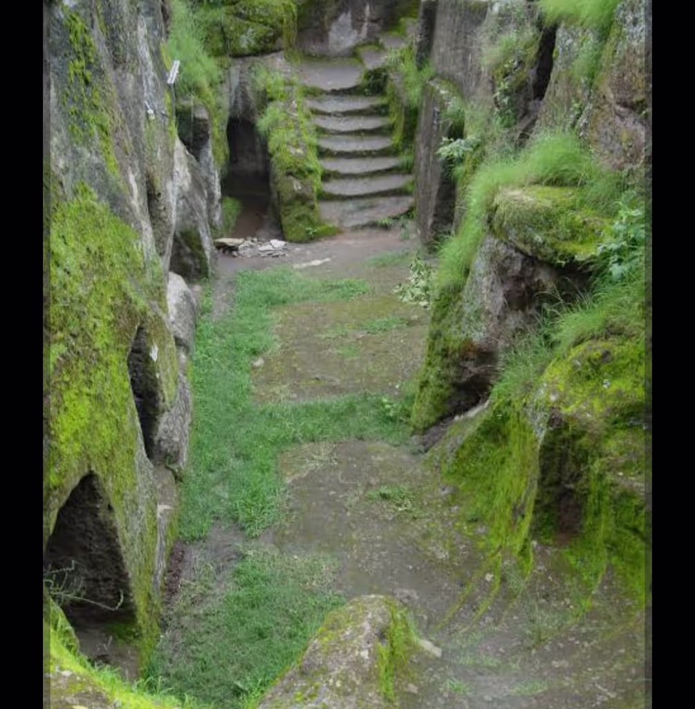 Addis Ababa Private Tour - 