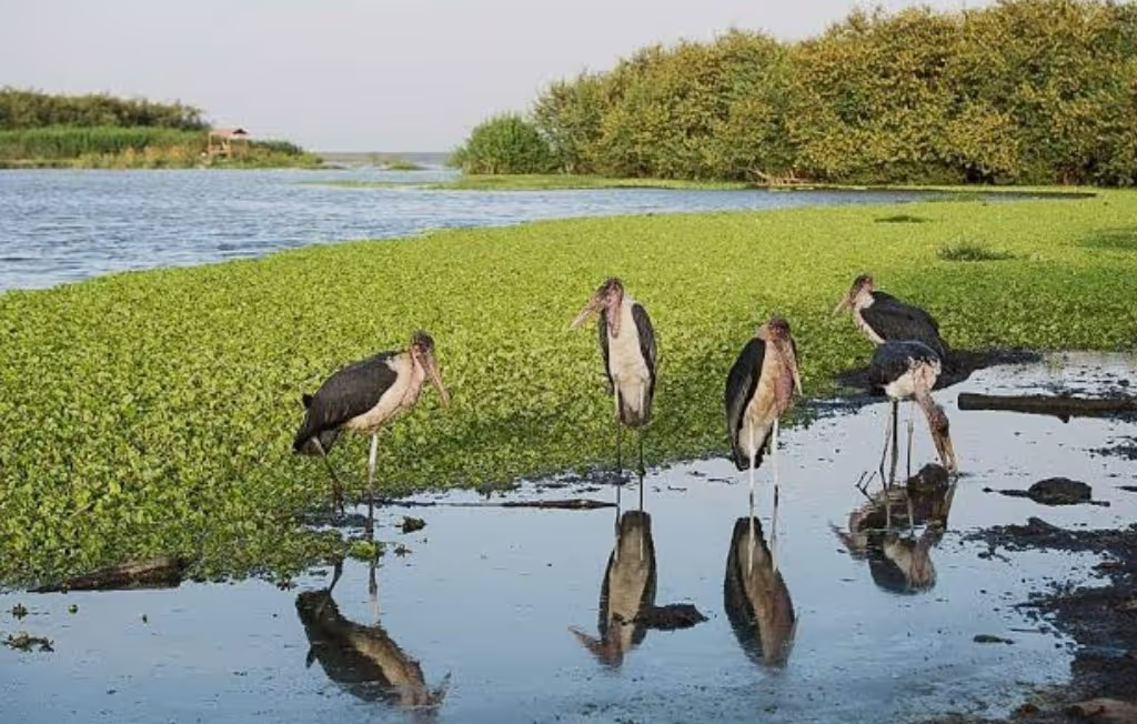 Addis Ababa Private Tour - 