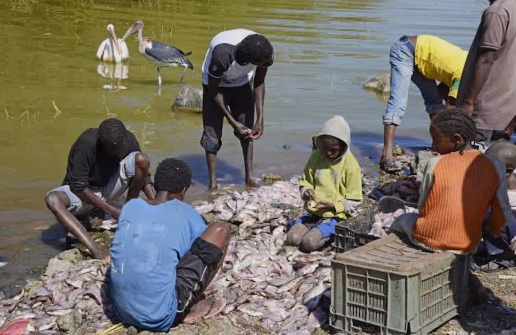 Addis Ababa Private Tour - 