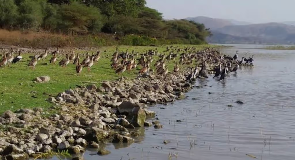 Addis Ababa Private Tour - 