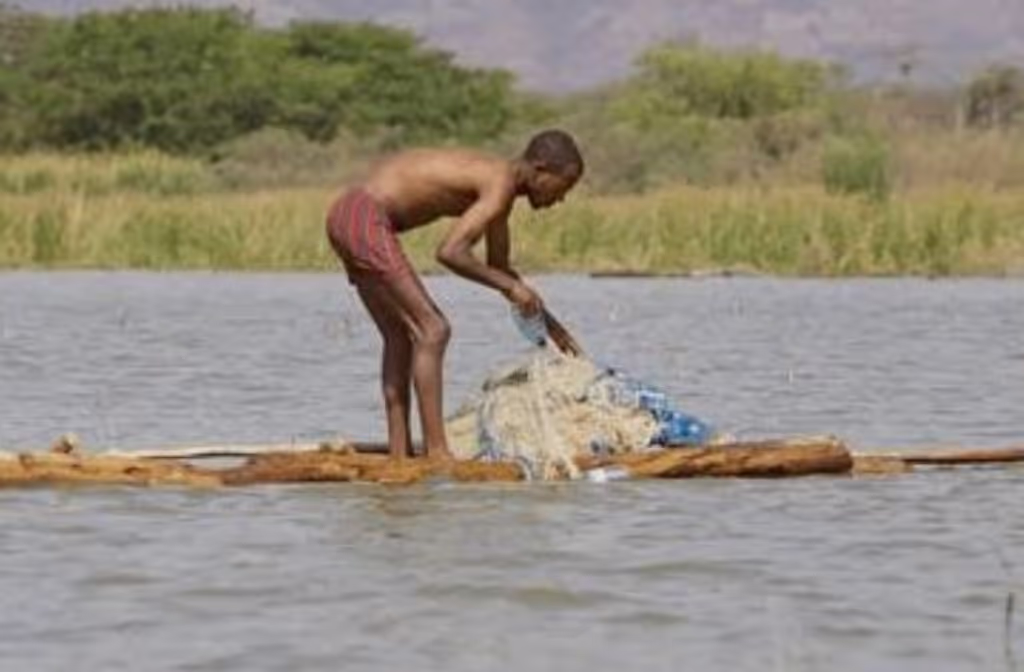 Addis Ababa Private Tour - 