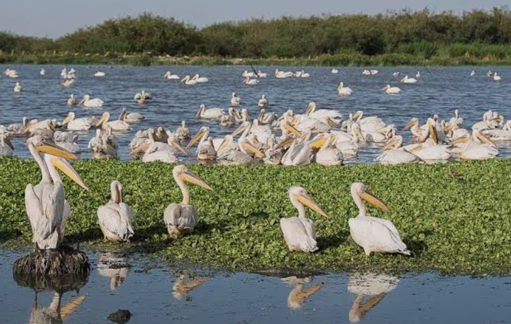 Addis Ababa Private Tour - 