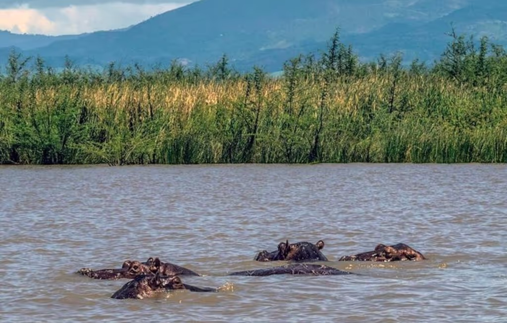 Addis Ababa Private Tour - 