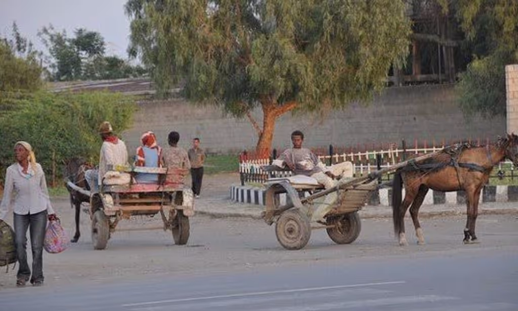 Addis Ababa Private Tour - 