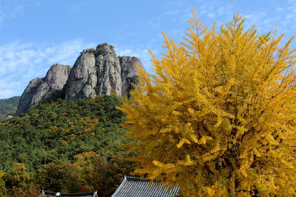 Daegu Private Tour - 