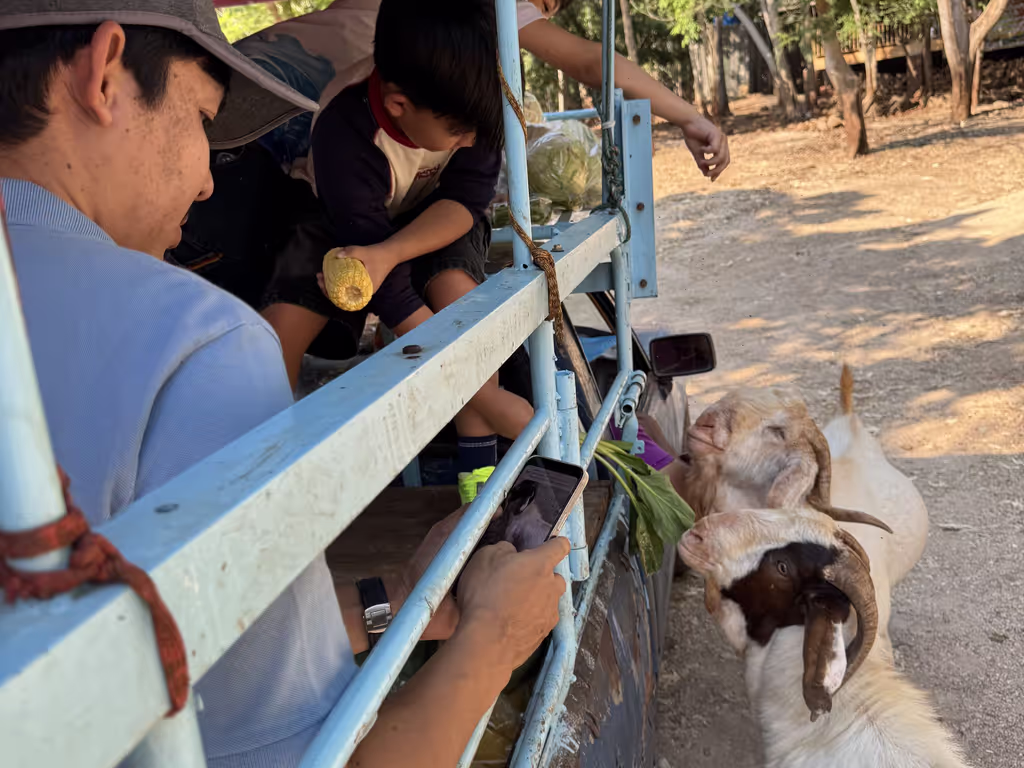 Bangkok Private Tour - 