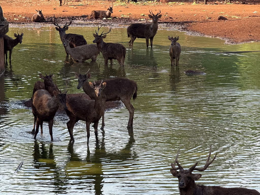 Bangkok Private Tour - 