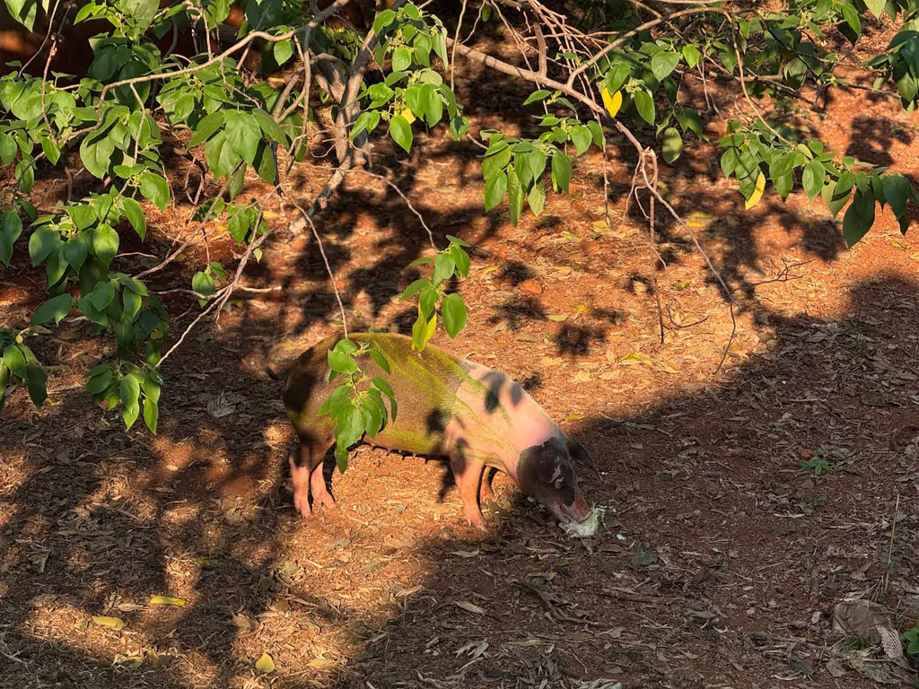 Bangkok Private Tour - 