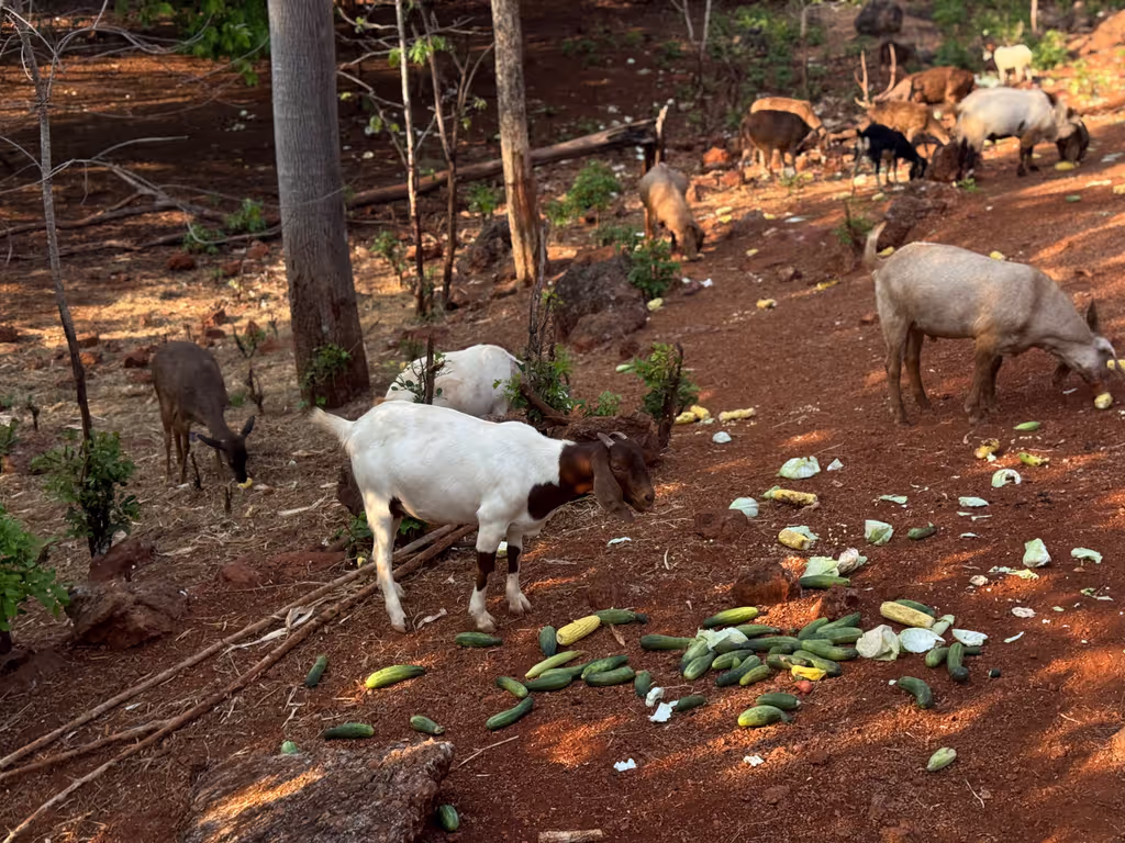 Bangkok Private Tour - 