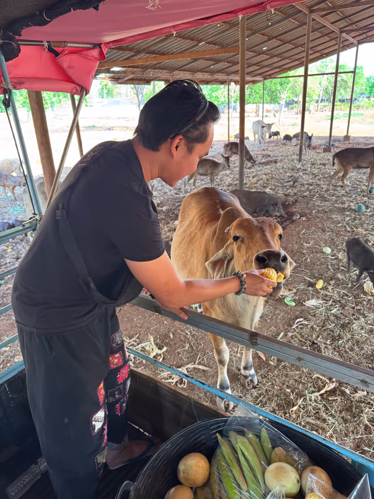 Bangkok Private Tour - 