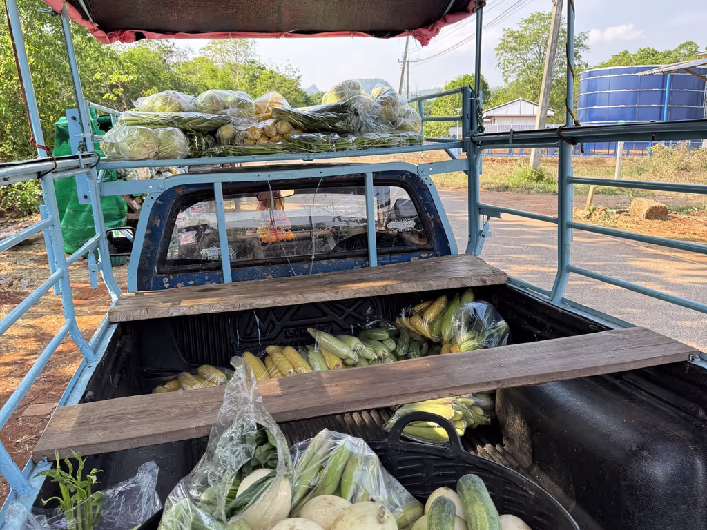 Bangkok Private Tour - Fresh vegetables and fruits will be prepared for y