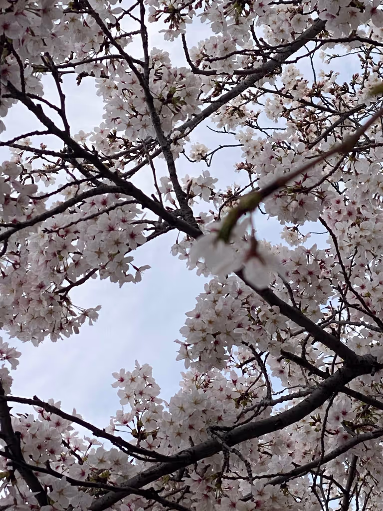 Osaka Private Tour - 