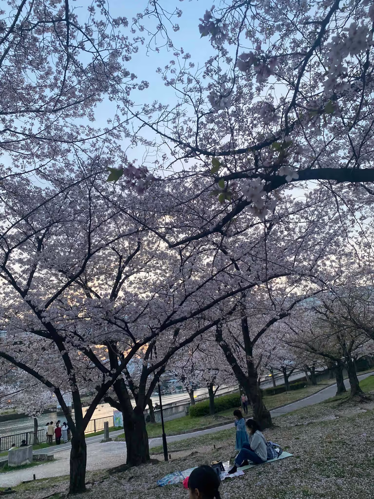 Osaka Private Tour - 