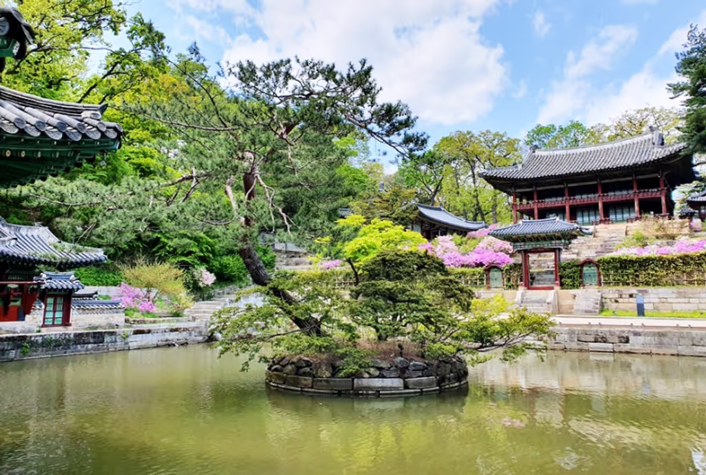 Seoul Private Tour - Secret Garden & Changdeokgung Palace