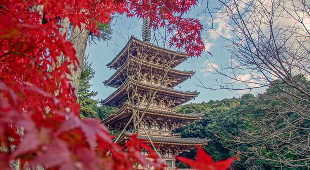 Kyoto Private Tour - 