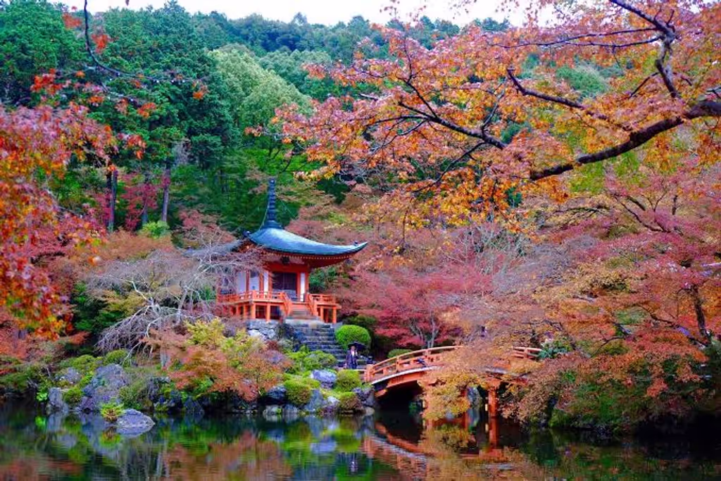 Kyoto Private Tour - 