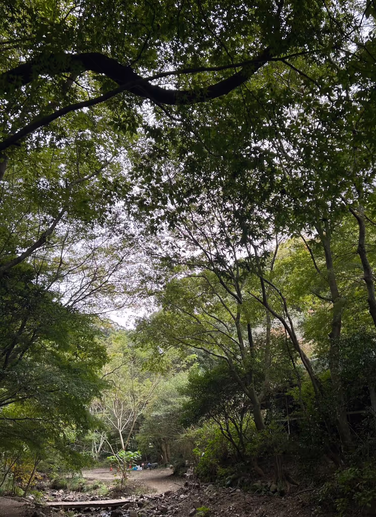 Kobe Private Tour - Feel relaxed while experiencing Japan’s beautiful