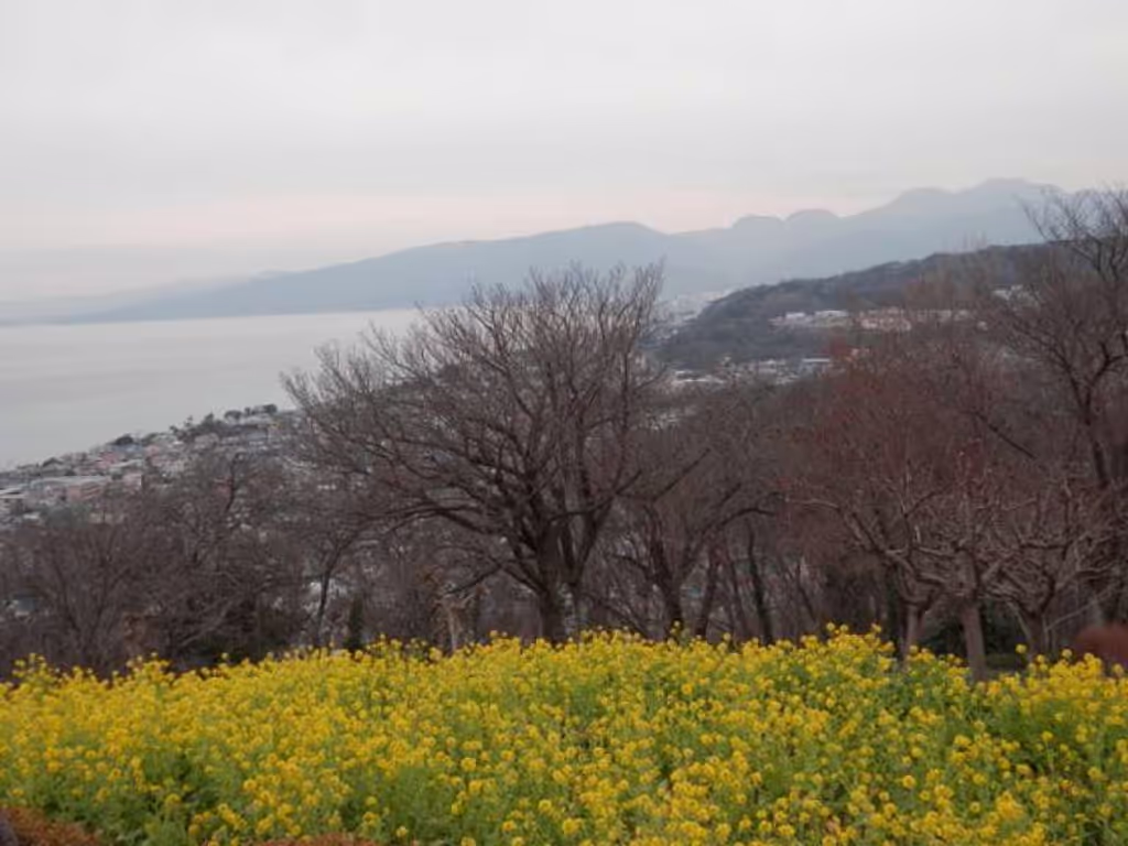 Kanagawa Private Tour - The sea view from Mt. Azuma