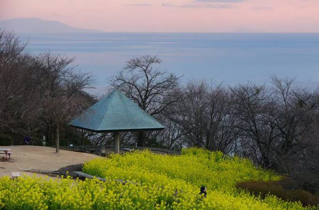 Kanagawa Private Tour - Mt. Azuma